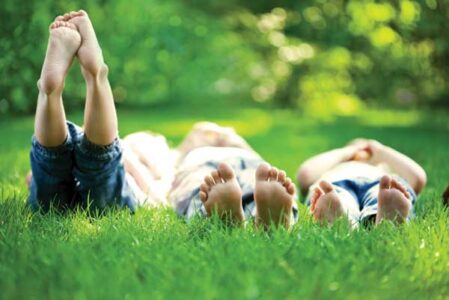 Manage Mosquitoes with Natural Solutions